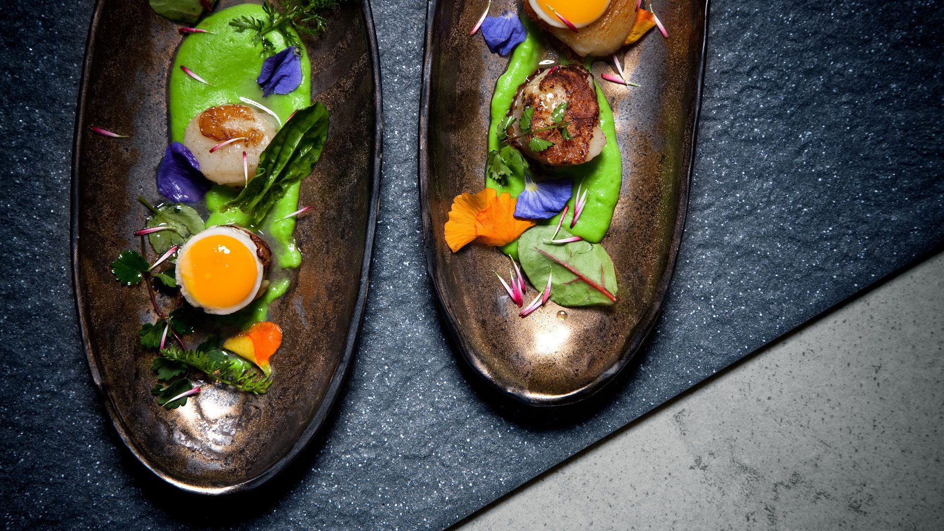 Kreativ angerichtetes Gericht mit Jakobsmuschel und Wachtelei auf grüner Creme als Corporate Design Gastronomie Case von Wuger