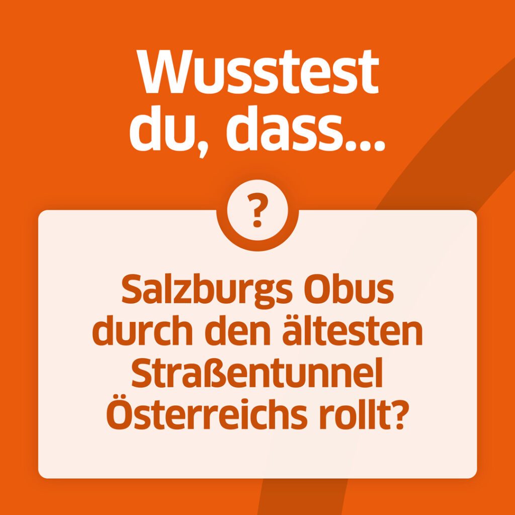Grafische Social Media Content Gestaltung mit Faktenformat und orangefarbenem Layout