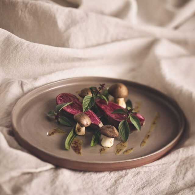 Gourmetgericht mit Pilzen, roten Scheiben und Kräutern, fotografiert für das Hotel Stiegnhaus und unser Corporate Design Boutique Hotel Projekt
