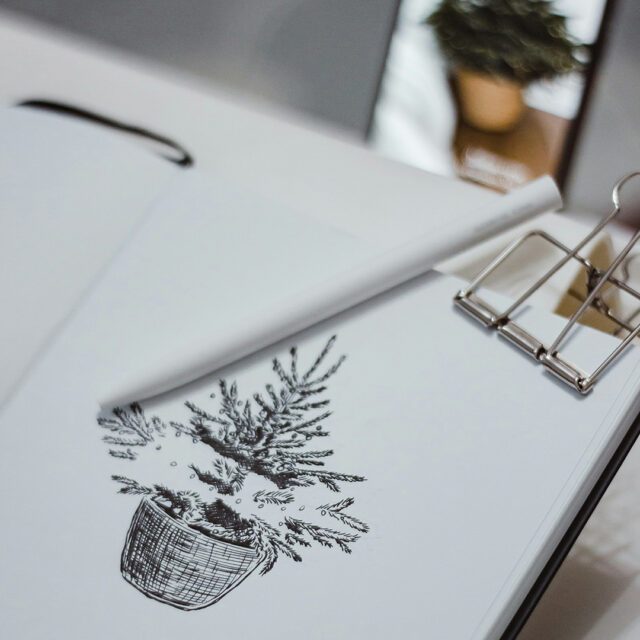 Wuger entwickelt Illustrationen die Marken Persönlichkeit geben und visuelle Geschichten klar und charakterstark machen. Handgezeichnete Pflanzenillustration auf Papier entsteht im Grafikdesign Prozess von Wuger