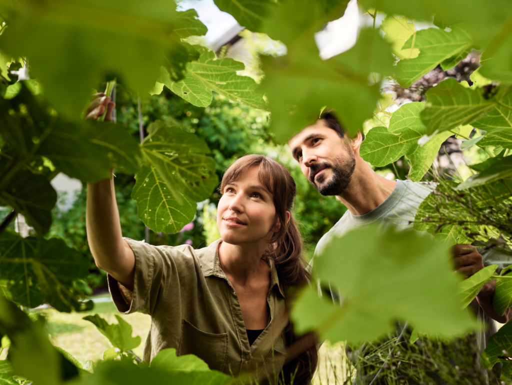Frau und Mann betrachten Blätter eines Baumes für emotionales Lifestyle-Imageshooting für eine authentische Markenwelt